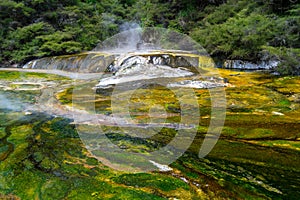 Thermal Pool at Waimangu Volcanic Valley in Rotorua, North Island, New Zealand