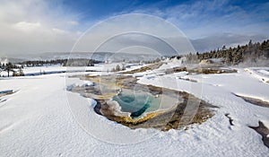 thermal pool, Yellowstone