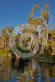 Thermal Pools in Mataranka