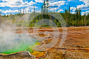 Thermal Pools Yellowstone