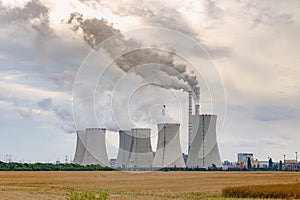 Thermal power plant with grain field