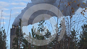 Thermal power station and steam from pipes