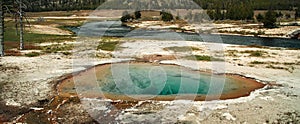 Thermal springs Yellowstone national park