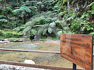 Thermal waters inside of nature