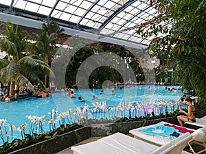 Therme Bucharest, Palm Zone
