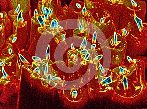 Thermo vision photograph of candles