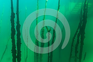 Thermocline cloud found in cold water diving creating layers of cloudy water.