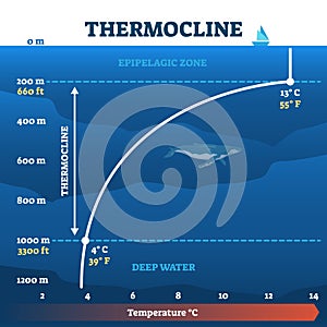 Thermocline deep water zone vector illustration diagram