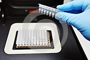 Thermocycler for DNA and PCR tests