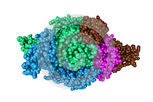 Thermodynamic and structure guided design of statin HMG-CoA reductase inhibitors. Molecular model. 3d illustration photo
