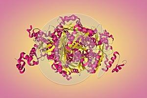 Thermodynamic and structure guided design of statin hmg-coa reductase inhibitors. Ribbons diagram. 3d illustration photo