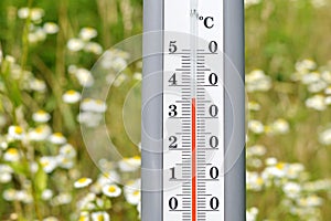 A thermometer on the background of a flower field.