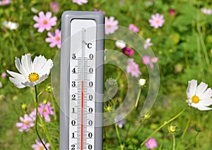 A thermometer on a natural floral background.