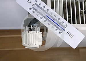 Thermometer and radiator