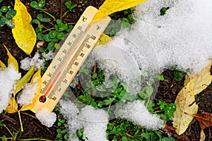 A thermometer showing zero degrees lies on the ground among freshly fallen melting snow, green grass and yellow autumn leaves.