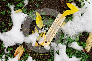 Thermometer showing zero degrees lies on the ground among freshly fallen snow, green grass and yellow autumn foliage. Soil