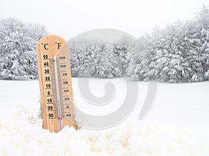 Thermometer in the snow