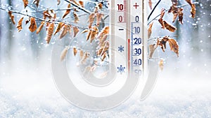 Thermometer in the snow on the background of a tree branch with dry leaves shows 15 degrees below zero