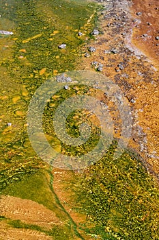 Thermophile bacteria in sulfur geyser Yellowstone national park