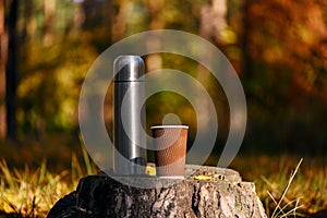 Thermos and disposable paper cup of coffee or tea on old tree stump in calm autumn forest. Outdoor recreation