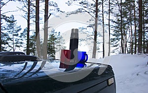 A thermos with hot delicious tea and mugs on the hood of a car in winter on a snow-covered forest clearing among green pines