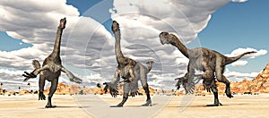 Theropod dinosaur Citipati