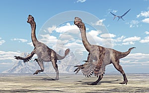 Theropod dinosaur Citipati photo