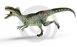 The running Monolophosaurus, 3D Illustration photo