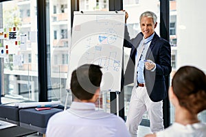 Theyre the best in the business. a businessman giving a presentation to colleagues in an office.