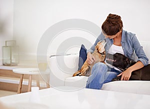 Theyre her canine companions. a young woman relaxing with her dogs on the couch.