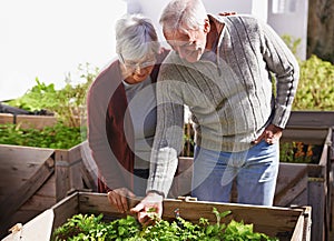 Theyve both got green fingers. Shot of a happy senior couple enjoying gardening together.