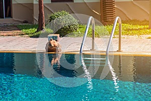 Theâ€‹ Modern backyard of a swimming pool in public resort or clubhouse