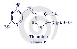 Thiamine chemical structure. Vector illustration Hand drawn. photo