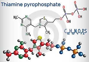 Thiamine pyrophosphate TPP, thiamine diphosphate, is a cofacto photo