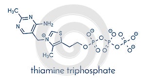 Thiamine triphosphate molecule. Skeletal formula. photo