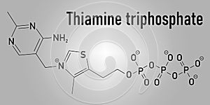 Thiamine triphosphate molecule. Skeletal formula. Chemical structure