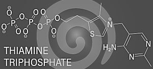 Thiamine triphosphate molecule. Skeletal formula. Chemical structure