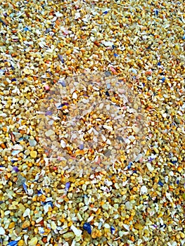 Thick beach sand with shells photo