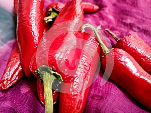 Thick Big Fresh red chilly vegetable. Hot red cayenne pepper or Jalepeno chili used to make Indian Pickle. Lal Achari Mirch