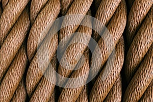 Thick brown rope rolled into a roll. Vertical layout