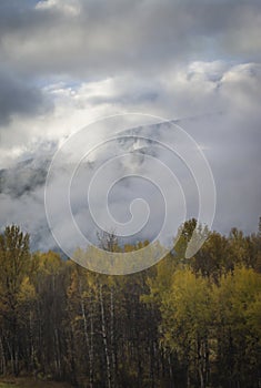 Thick clouds covering hills and autumn forest