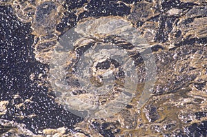 Thick crude oil floating on top of ocean water at Huntington Beach after an oil spill off the coast of Orange County, California