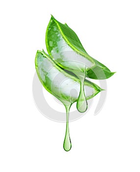 Thick drops of juice leaking from a sliced Aloe Vera leaf close up, isolated on a white background