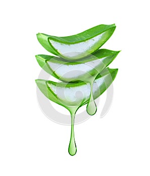 Thick drops of juice leaking from a sliced Aloe Vera leaf isolated on a white background