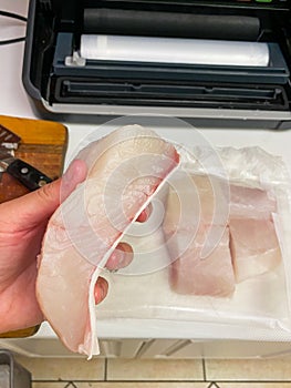 A thick fillet of Pacific Ocean Lingcod white fish photo