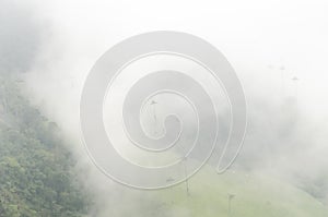 Thick fog, Cocora valley misty landscape