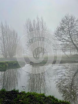 Thick fog hanging over a lake
