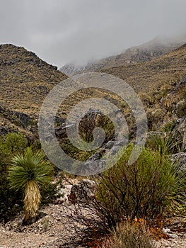 Thick Fog Hangs In The Sierra Del Caballo Muerto Mountains Along Strawhouse Trail