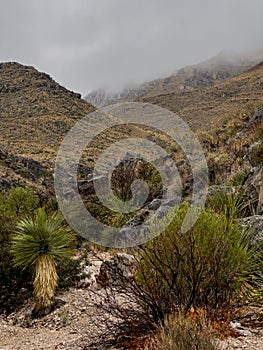 Thick Fog Hangs In The Sierra Del Caballo Muerto Mountains Along Strawhouse Trail photo