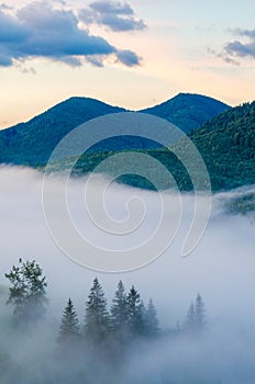 Thick fog in the mountains envelops the earth